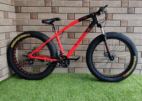Hoopoe fat top bike
