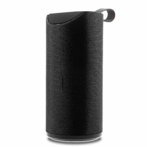TARAMONEY Wireless Bluetooth Portable Speaker