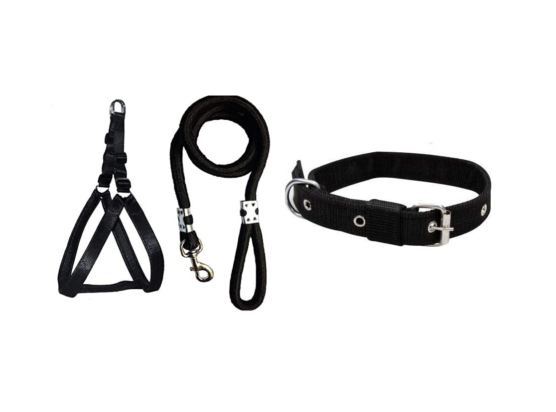 Dog collar discount harness combo